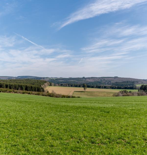 Houffalize