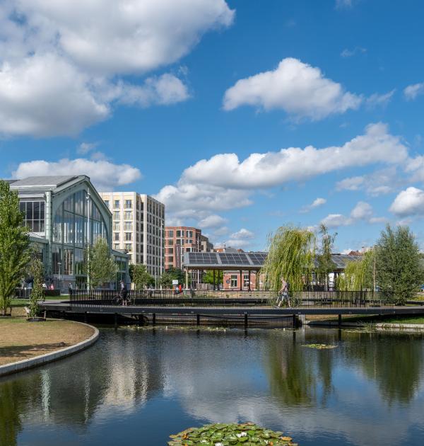 Dagwandeling Brussel