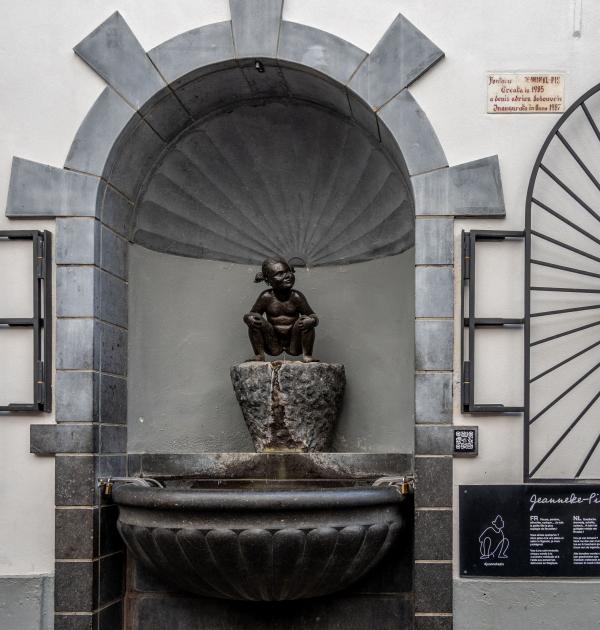 Dagwandeling Brussel