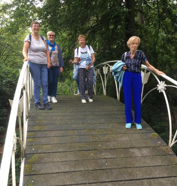 Chinese brug in het park