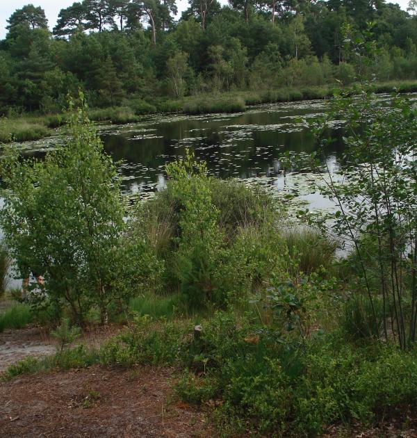 Edegemse Beekvallei in Kontich