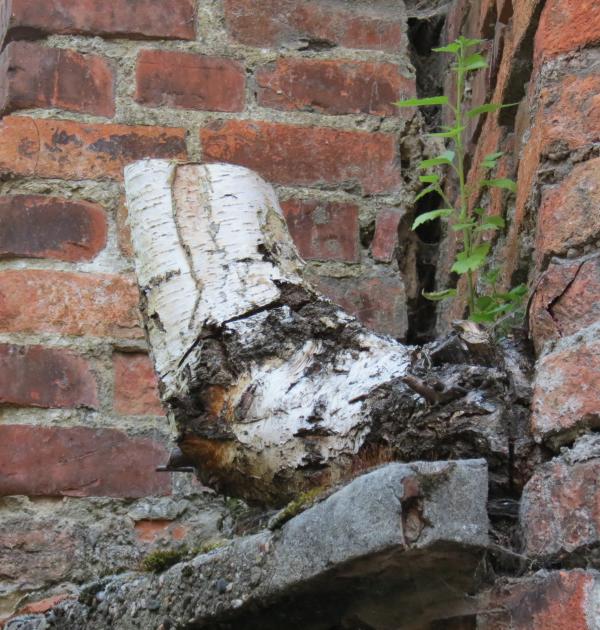 Pastoorsleike bijna aan kruising met Jan Frans Willemsstraat
