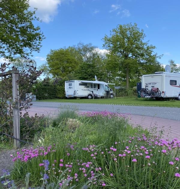 Hoofdfoto Ardoer Vakantiepark 't Rheezerwold