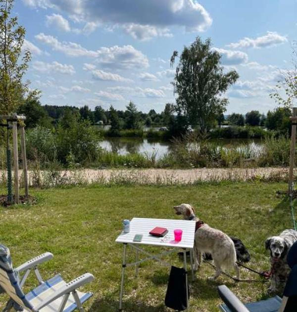 Hoofdfoto Camping Reich am Schnackensee