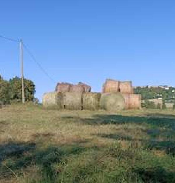 Hoofdfoto Au clair de la brune