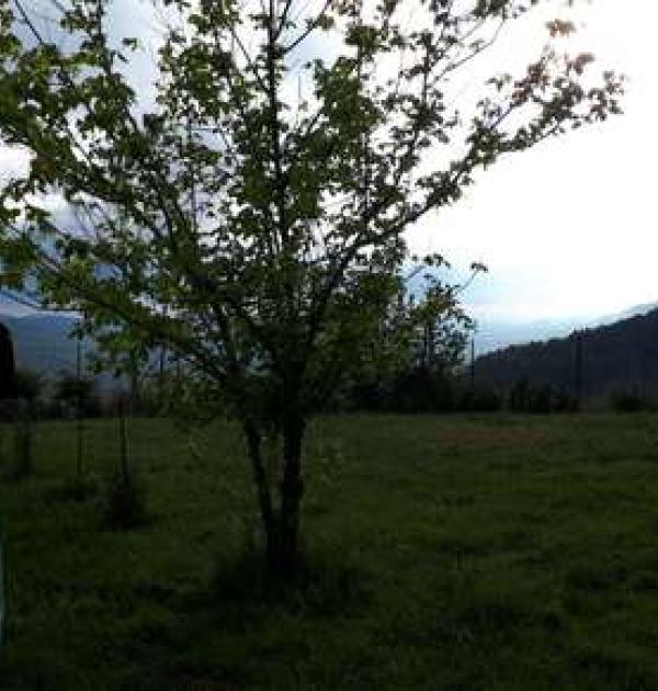 Hoofdfoto Agriturismo Briciola di Sole