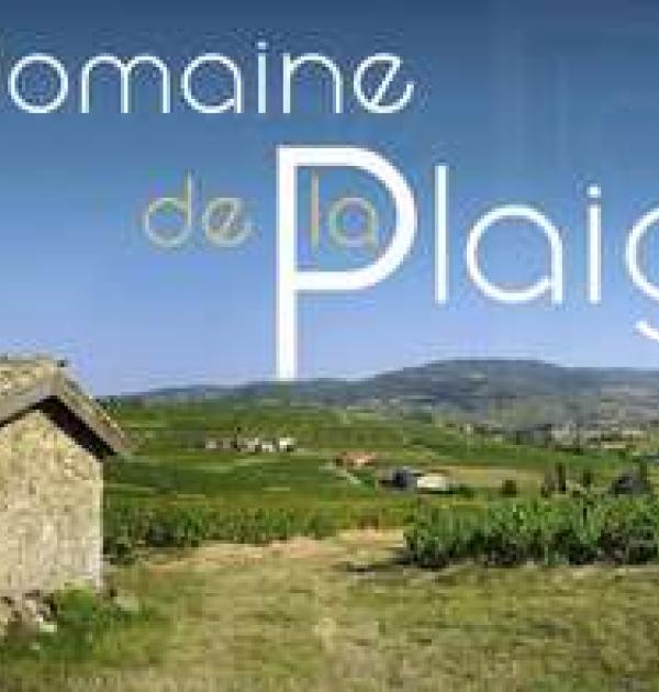 Hoofdfoto Domaine de la Plaigne