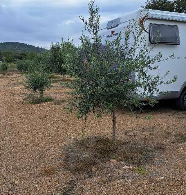 Hoofdfoto Aparcamiento Ćrea de Autocaravanas de BiscarruĆ©s