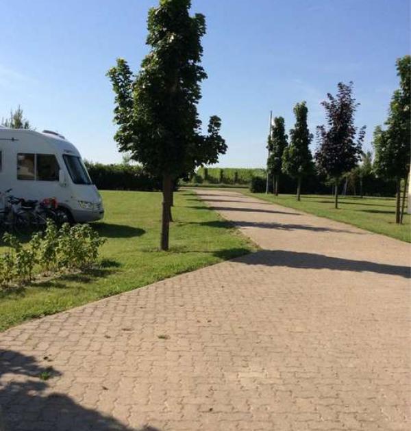 Hoofdfoto Weingut Erich Braun & Sohn