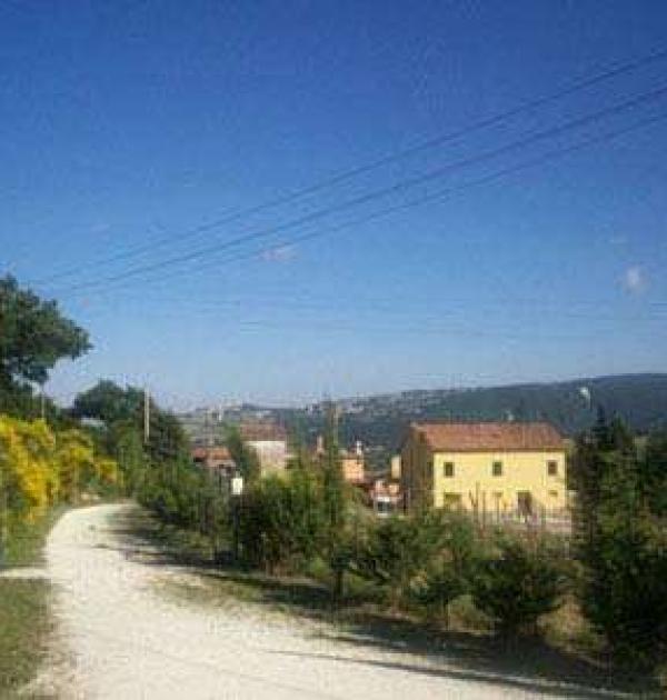 Hoofdfoto Area Ziamelia