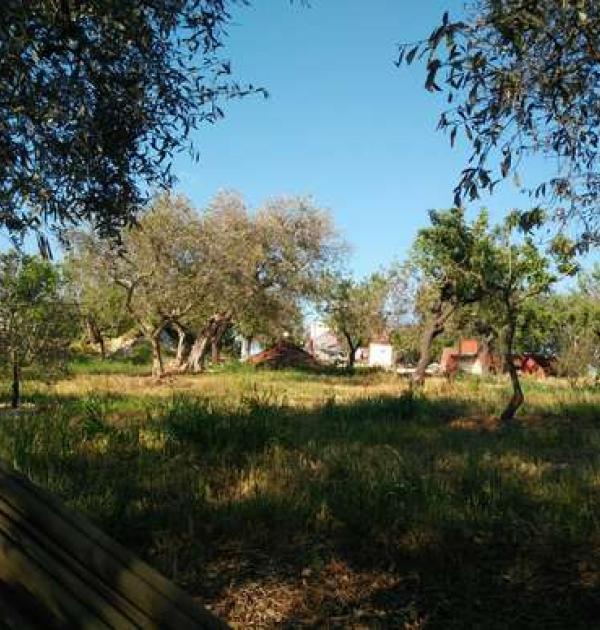 Hoofdfoto Agriturismo Monte del Vento