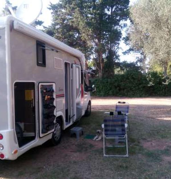 Hoofdfoto Azienda Agrituristica 2 Palme