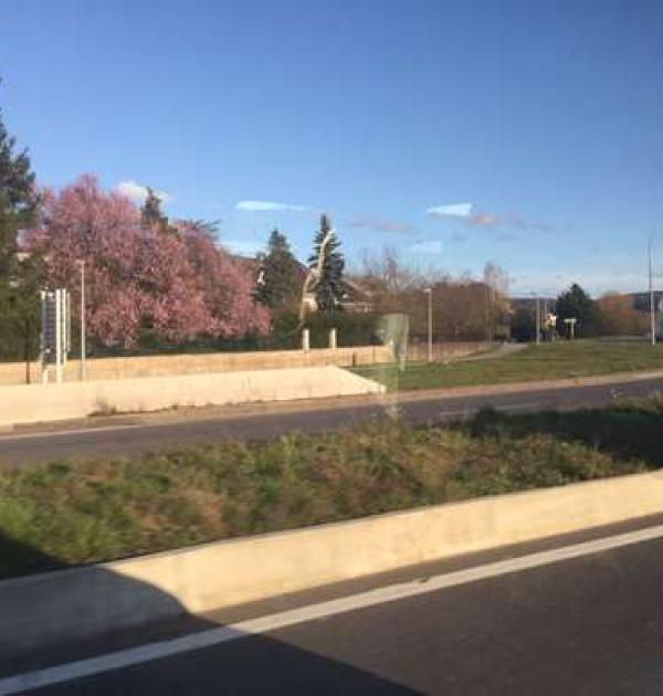 Hoofdfoto Aire Municipale