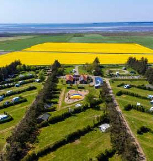 Hoofdfoto Ballum Camping