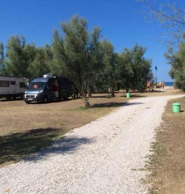 Hoofdfoto Area di Sosta Gli Eucalipti