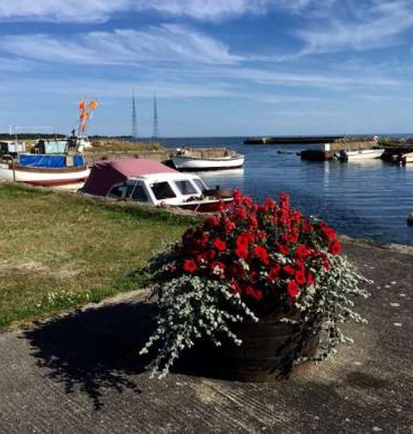 Hoofdfoto Torsö Hamn