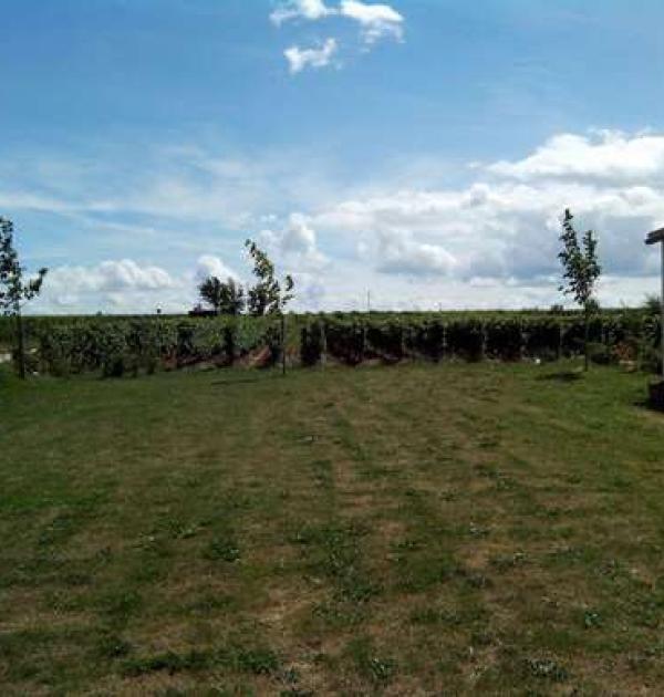 Hoofdfoto Weingut Boos