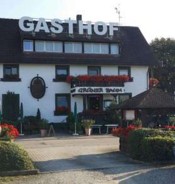 Hoofdfoto Hotel Restaurant Weingut Grüner Baum