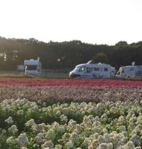 Hoofdfoto Camperplaats Dagstrand Seurenheide
