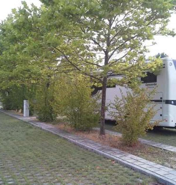 Hoofdfoto Am Sportstadion