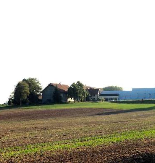 Hoofdfoto Brauerei Gasthof Waldhaus