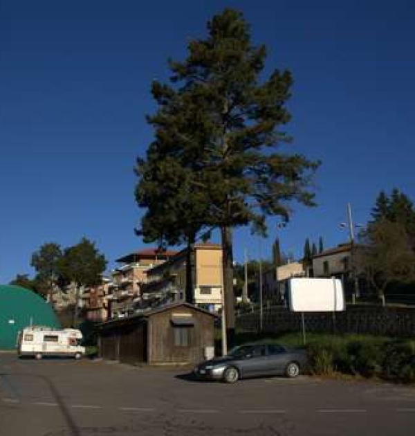 Hoofdfoto Bagnoregio