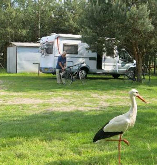 Hoofdfoto Ranczo Arka