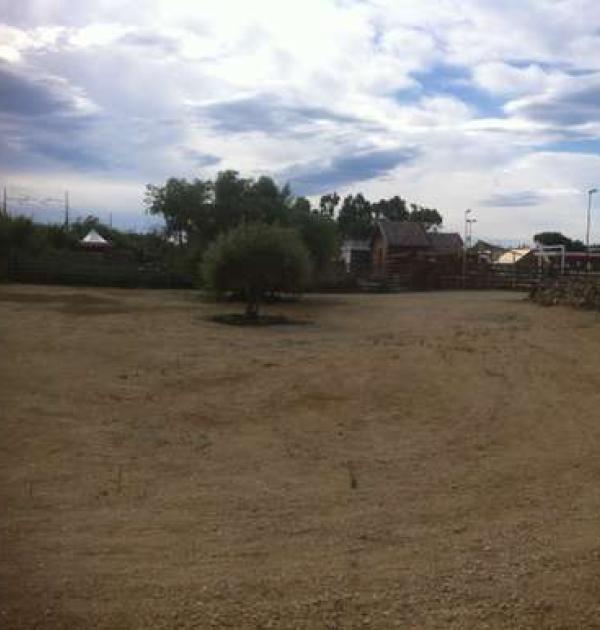 Hoofdfoto Associazione Culturale Amici del Mare