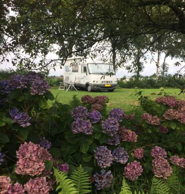 Hoofdfoto Camperplaats De Trekvogel