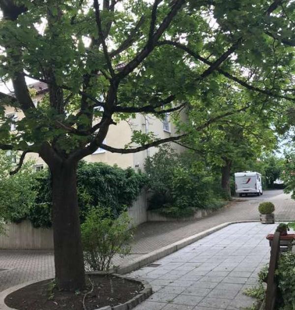 Hoofdfoto Gasthof zum weiszen Ross