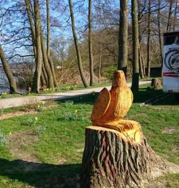 Hoofdfoto Parkplatz Janusallee