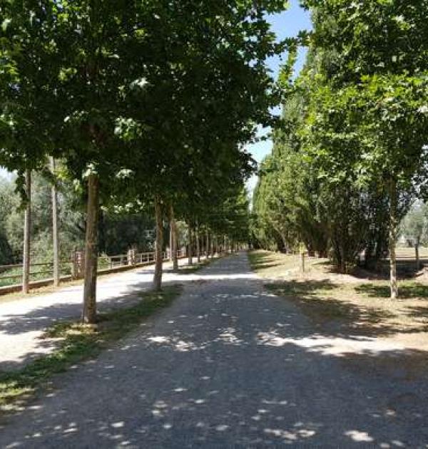 Hoofdfoto Manlleu vora del Ter