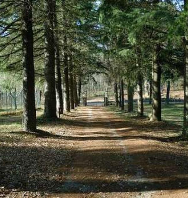 Hoofdfoto Camping Agrituristico  Le Fontanelle
