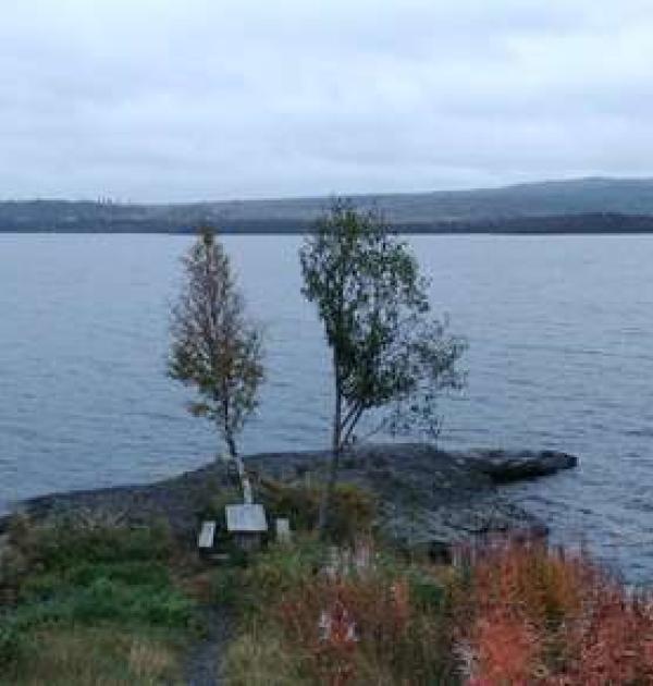 Hoofdfoto Rastplats Häggsjövik