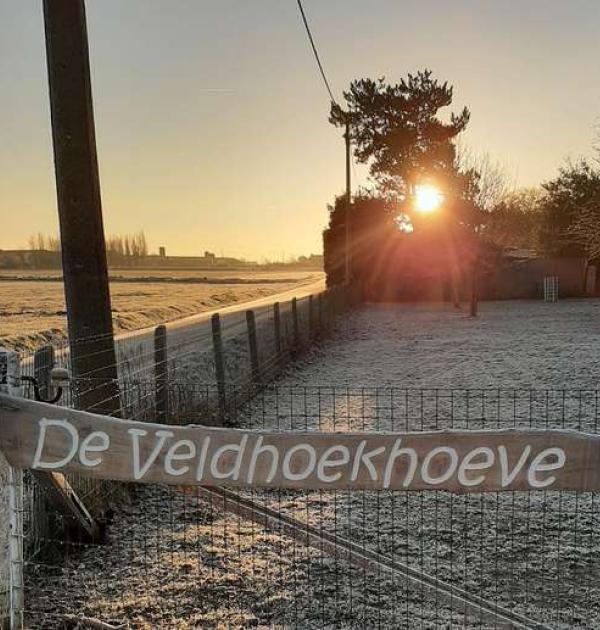Hoofdfoto Camperplaats De Veldhoekhoeve