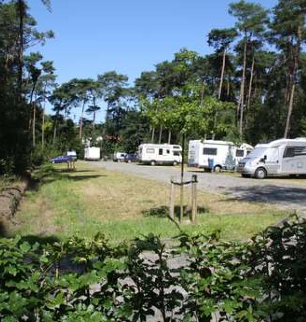 Hoofdfoto Kalmthoutse Heide