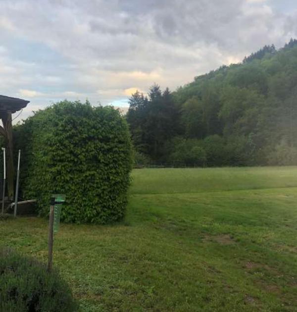 Hoofdfoto Weingut Weber