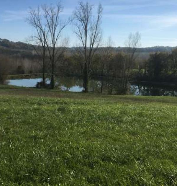 Hoofdfoto Domaine La Combe