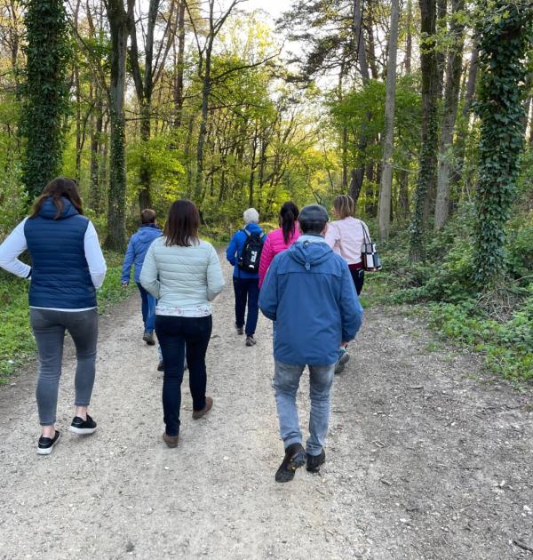 Stiltewandeling, in het Nationaal Park Hoge Kempen, As